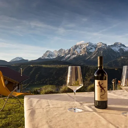 Harreiter Apartment Schladming