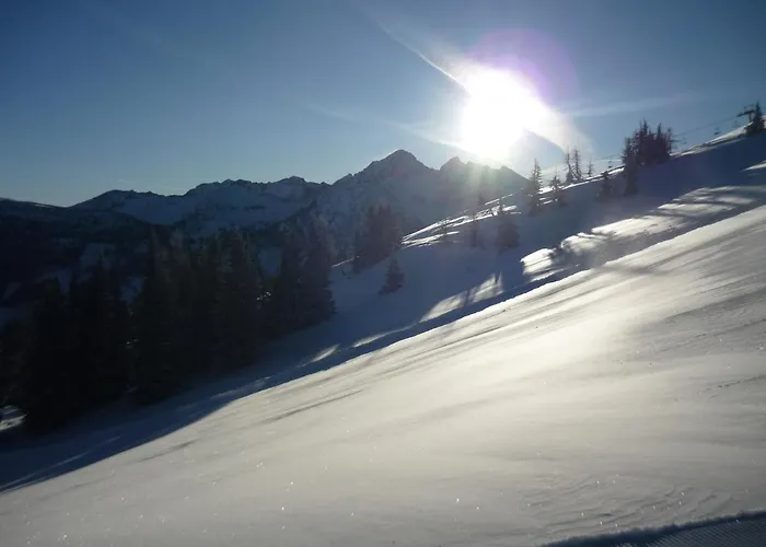 Harreiter * Schladming